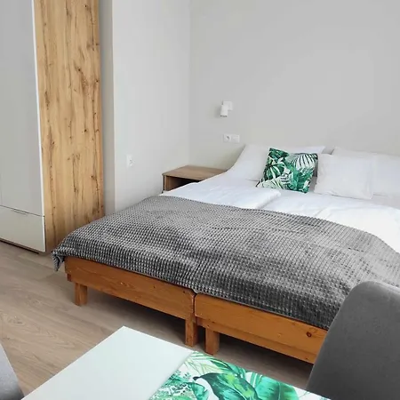 Apartamenty Maciata Bialy Dunajec Exterior photo
